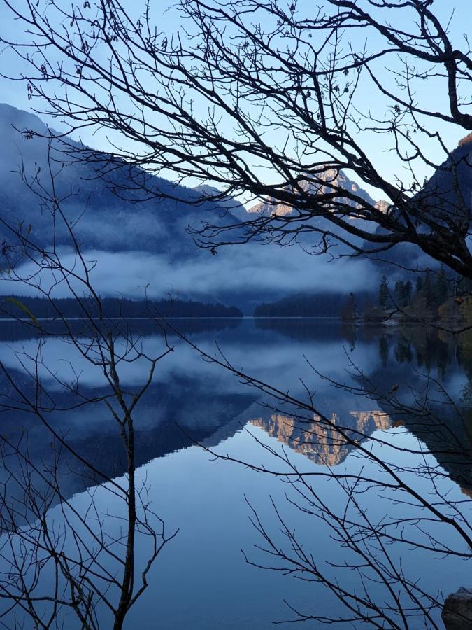 Ammerwald Alm Plansee Exterior foto